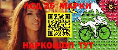 крисы Кингисепп