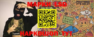 крисы Кингисепп
