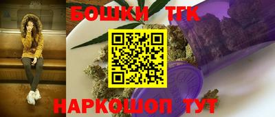 крисы Кингисепп