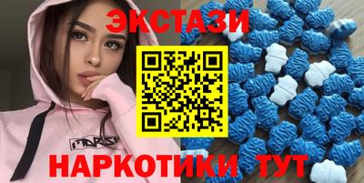 крисы Кингисепп