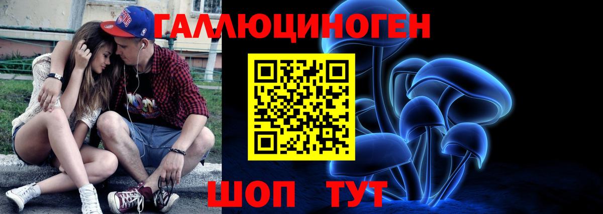 Галлюциногенные грибы Psilocybine cubensis Котельники
